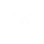 Wilder UAV Logo
